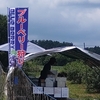 ブルーベリー狩りと東京ホルモン