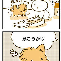 【犬漫画】夏の避暑旅行に行きました。【１/2】