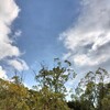 基本的に人は変えれない