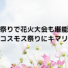 コスモス祭りで花火大会も堪能するなら岡部コスモス祭りにキマリ☆彡