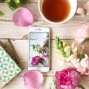 ジャパン ダイアリー