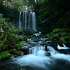 🍃唐沢の滝でサクッと撮影しました♪