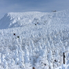 🏔️蔵王の樹氷❗️
