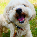 happy-_-maichinのブログ