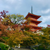 【ギャラリー】秋の京都は紅葉が綺麗でしたよ＜清水寺・高台寺＞