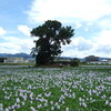 京都奈良編／1日目／橿原市・明日香村・桜井市・奈良市