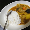 自家製カレー