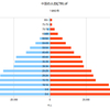 中国の人口ピラミッド　１９６０年～１９７５年
