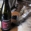 週末のワイン　酔っぱらい猫
