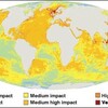 日本海の汚染