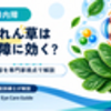ほうれん草は緑内障に効く？研究結果と食事の位置づけ