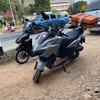 バーミーズトラウトを追え　①