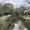 年度末ギリギリのお買い物を、雨の合間に行く