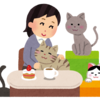 ドリアンくん、バンコクの猫カフェで晩酌！？