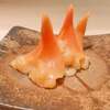 アオヤギの美味しい食べ方！　旬の時期を逃さず味わう方法