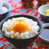 No.11 【節約飯】玉子かけご飯（TKG）！お前がNo.1だ！　ご飯が1番ススむ玉子料理は生玉子