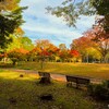 赤塚公園のモミジ～つくば市とその周辺の風景写真案内（９４４）