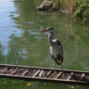 水月公園