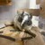 しろごまあん1242日目