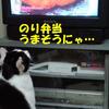 テレビが大好き　ソラ