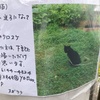 クロスケは何処に？