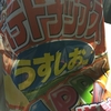 ホテトチップスデカ袋うすしお味（あ、湖池屋のほうだ）