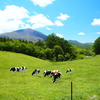 【浅間牧場】北軽井沢のおすすめスポット！牧場内で登山も可能な浅間牧場を見学