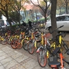 自由すぎる北京のシェアバイク事情