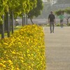 2025年5月31日（土）　五月のあとがき