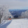 Deep Powdery snow at Nozawa Onsen ski resort 1/13-14