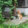 幸せな日々の意味を知る