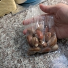 隣の人の本命は種