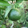 【隠居の朝の一言　笑って過ごせる環境を　10/01】