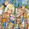 沖縄で好きになった子が方言すぎてツラすぎる　感想