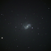 表裏一体 NGC4051 & NGC5248 棒渦巻銀河