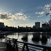 2月14日（金）祖母の夢に号泣、市川雷蔵