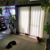 大掃除