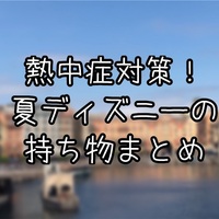 手続き方法まとめ ディズニーで落し物をしても8割の確率で戻って来る 究極雨女ほのぷーのディズニー放浪記