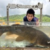 5/3(日)三河湖釣り堀🐟ヌシ釣れる❗️バス釣り厳しい😭春の雨に期待🙏