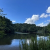 お気に入りの里山でウォーキング