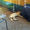 「表参道のセレブ犬とカバーニャ要塞の野良犬」（若林正恭）