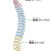 姿勢の重要性