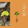 【こぼれ種】で【こぼれ話】
