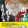ボブが教えてくれたこと