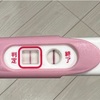 妊婦になったのでブログ始めました👶🏻