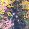 青秋林道　幻の滝