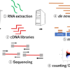 RNA-seqアセンブリについて