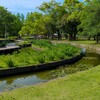 水郷公園池（土浦市）～つくば市とその周辺の風景写真案内（１１３１） 