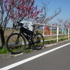 久しぶりの自転車ポストは、筑波山ですよ