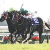 競馬初心者必見☆馬券予想🔥〜エリザベス女王杯〜購入馬券大公開㊙︎